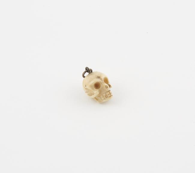 Ivory model of a human skull