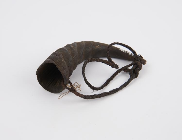 Medicine horn used by witch doctor, curved reed-buck horn