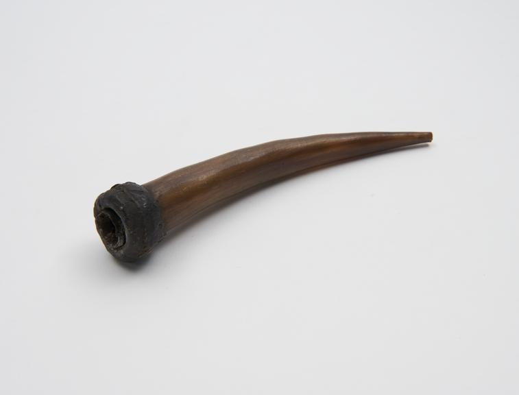 Animal horn cupping horn(?) rim surrounded by thick ring of