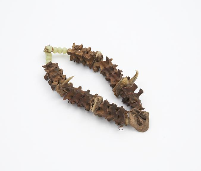 Armlet made up of animal vertebrae