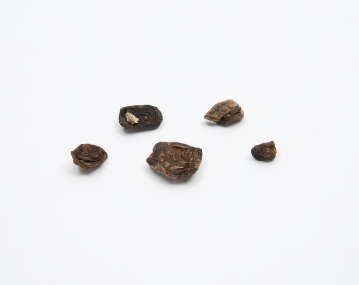 Five pieces of root, unidentified, for diarrhoea