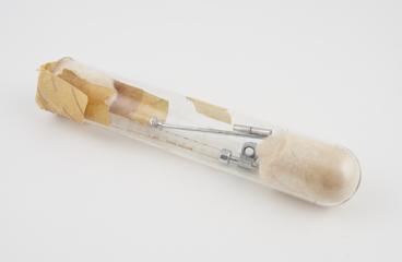 Three tuberculin syringes in glass tubes, Europe, 1950-1990