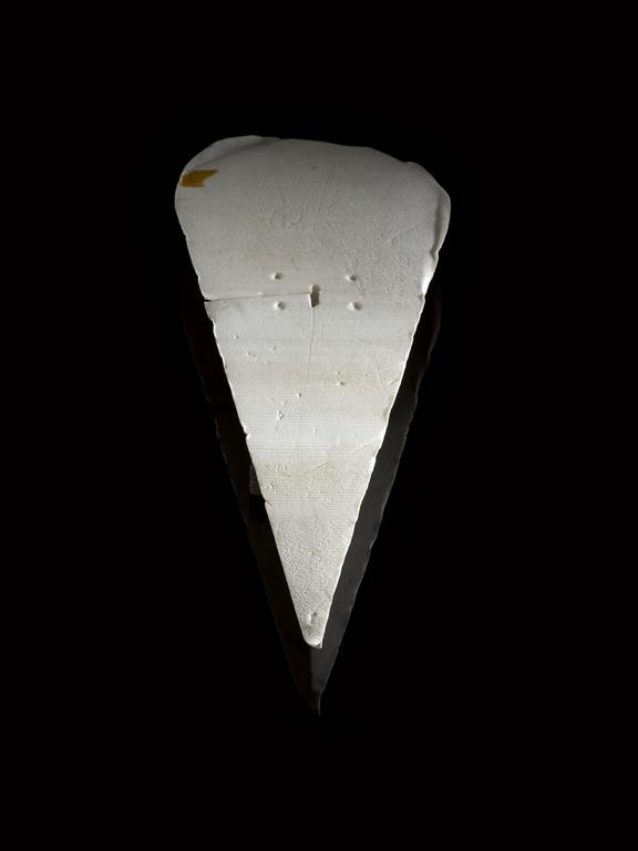 Wing model used by Mr W E Gray in the RAE 24 foot wind tunnel