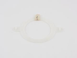 Flange from Colostomy Bag