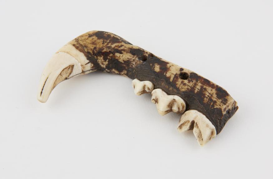 Amulet, made from bear's jaw, from Katchin, North East Assam