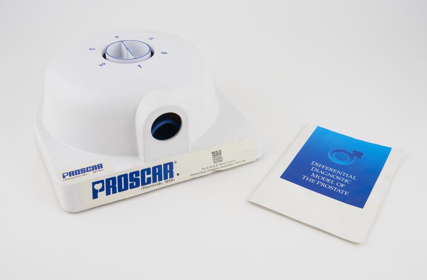 Proscar Prostate Teaching Model, with box and manual