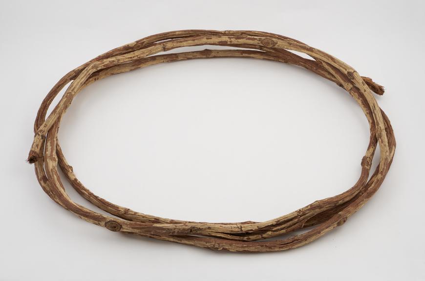 Specimen of Creeper (N'salo) used by the Jur tribe as a rope