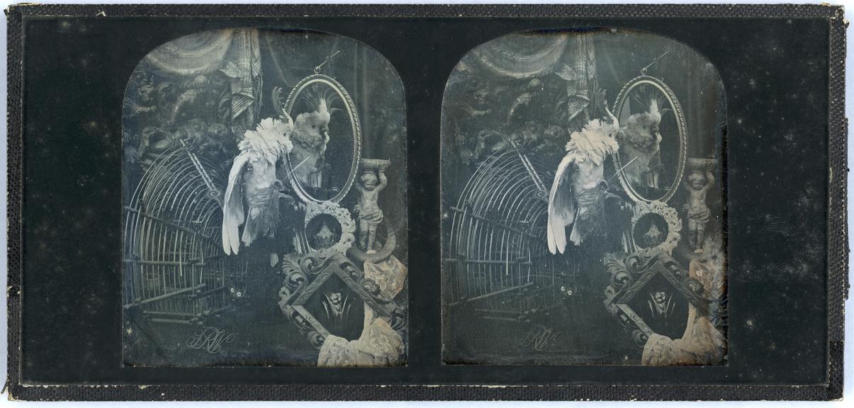 Stereo Daguerreotype