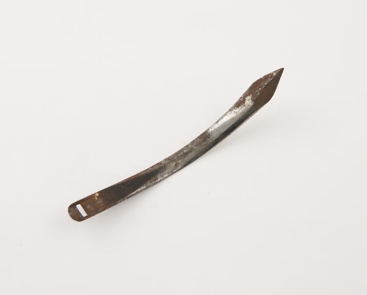 Seton needle, frog, steel, 19th century