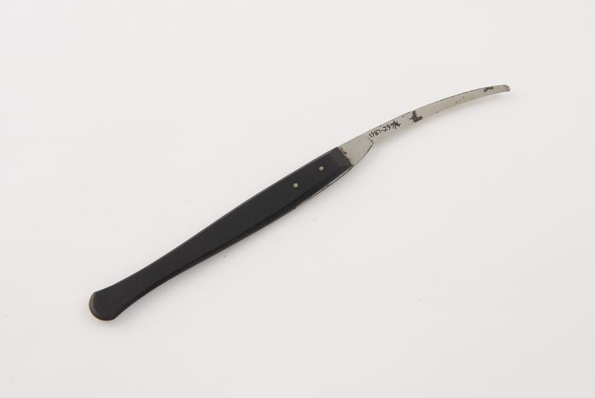 Curved probe pointed bistoury, steel with ebony handle