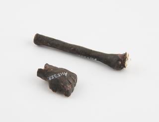 fragments