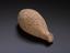 Votive testicle, terracotta, solid, probably Roman, 400BC-100AD.