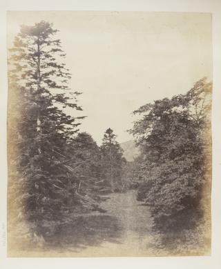 At Woodhouselee, Midlothian