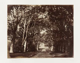 Sycamore Avenue, Woodhouselee