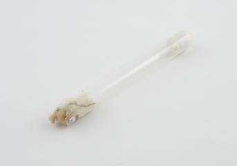 Test tube, from blood transfusion apparatus