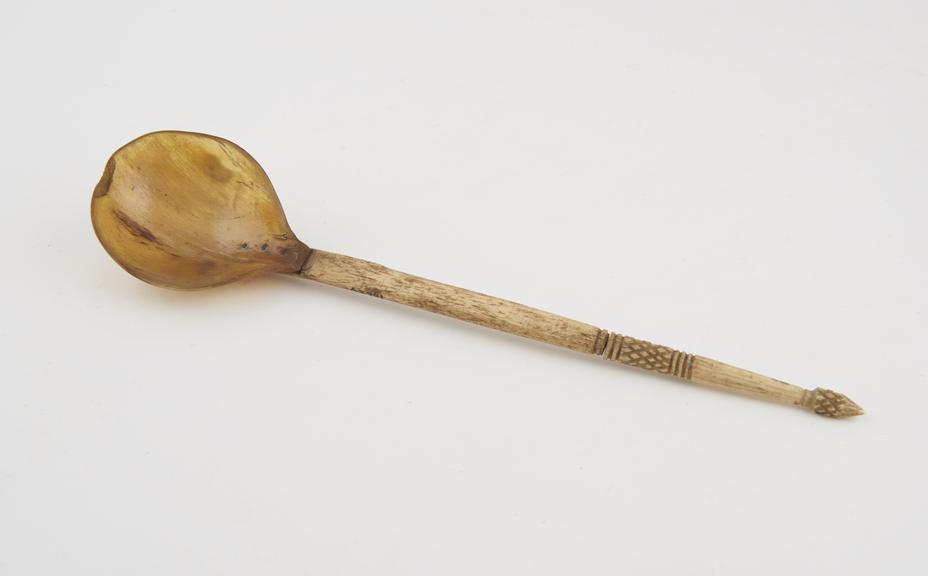 Horn and bone spoon