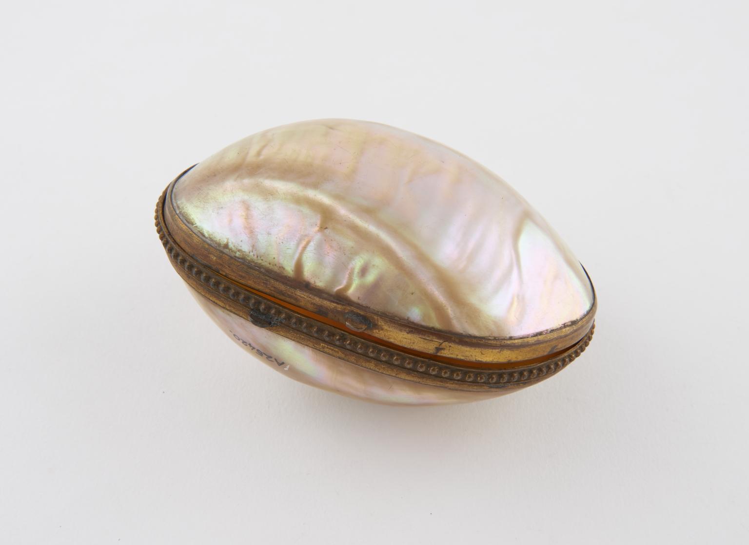 Shell Snuff Box England Oyster shell snuff box | Science Museum Group Collection