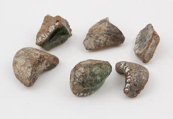 Glass fragments