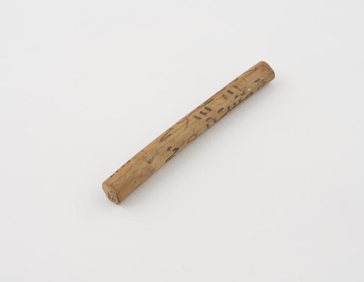 Small cylindrical twig of light coloured wood