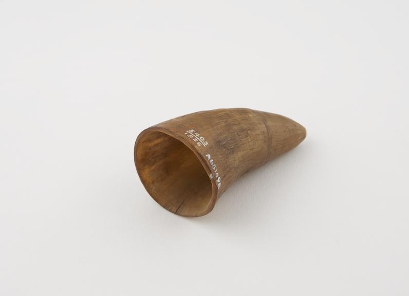 Cupping horn from Hausawa, Gold Coast, 1880-1920