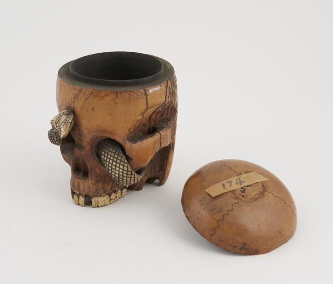 Wooden tobacco jar in the form of a skull with ivory snake