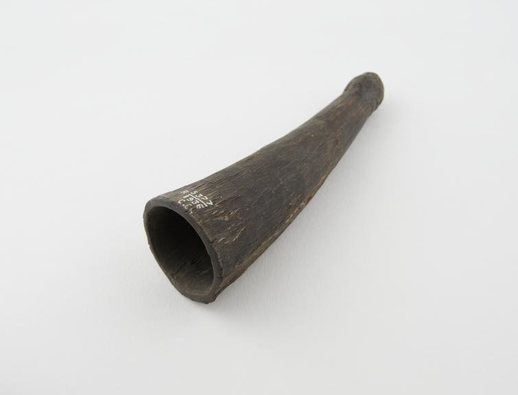 Cupping horn used by medicine man, Barotse, Barotseland