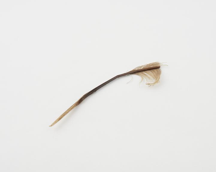 Remnants of a bird's feather (said to be red but now