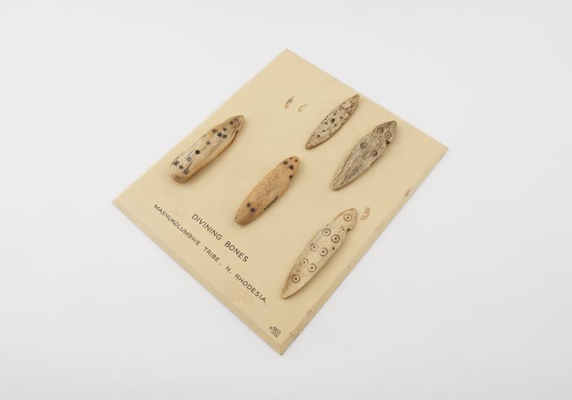 Set of carved divination bones on wooden display mount