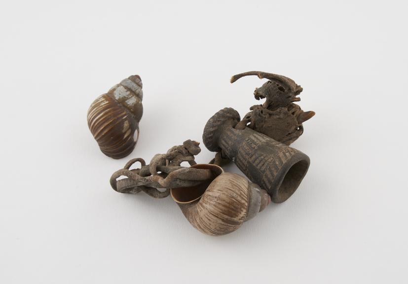 Witch doctors amulet, shells, horn