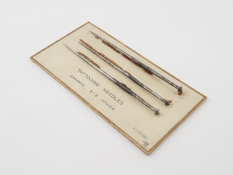 Three steel tattooing needles, conical heads, pointed tips