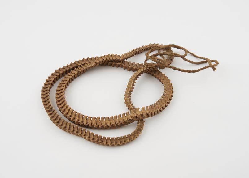 Necklace of snake vertebrae threaded on string, from Abeokutu