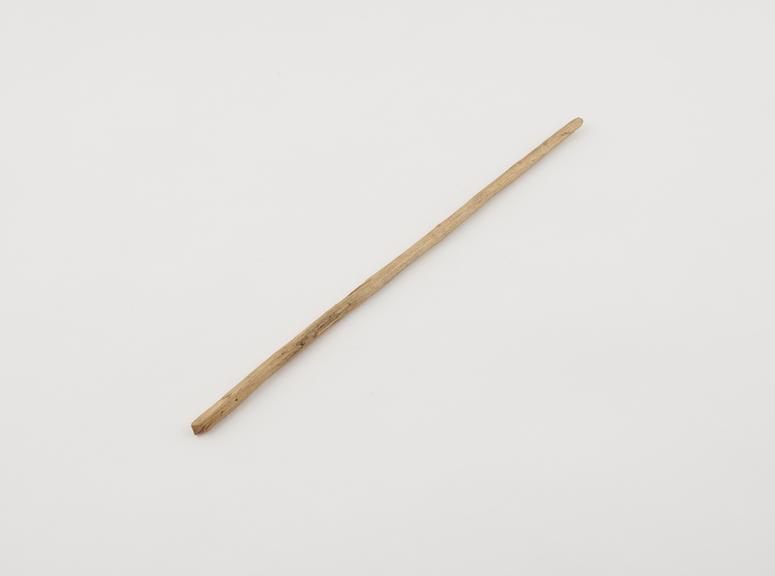 Toothbrush, wooden chew stick, from West Africa, 1880-1931