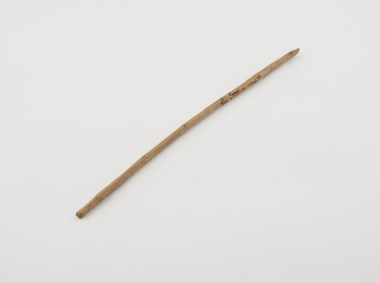 Toothbrush, wooden chew stick, from West Africa, 1880-1931