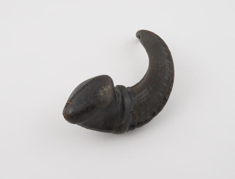 Amuletic horn with leather covered mouth