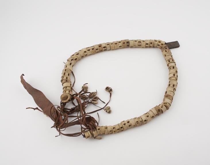 Medicine man's belt comprising snake vertebrae threaded onto