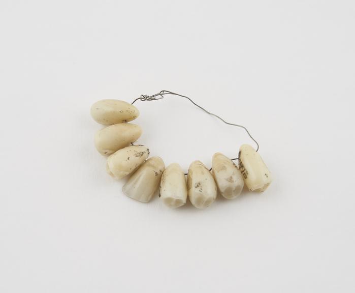 Trading amulet comprising eight artificial teeth threaded on to