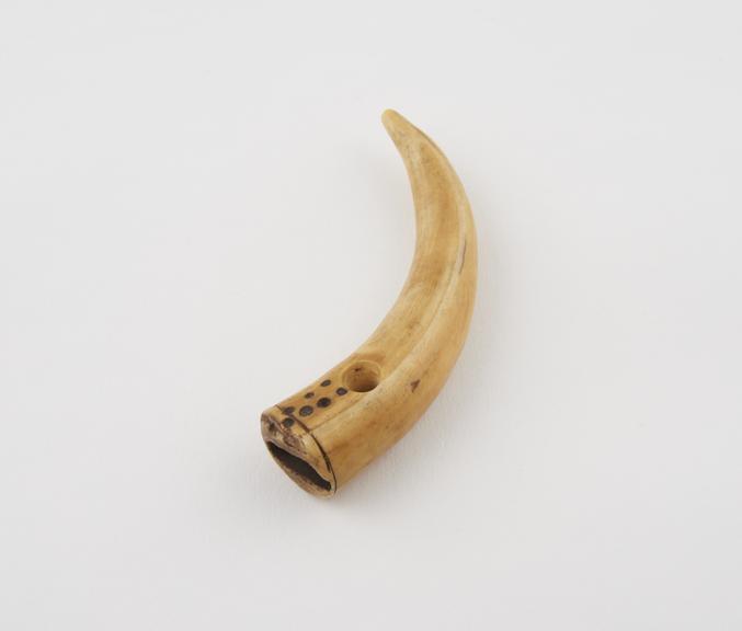 Amuletic animal's tusk perforated for suspension and decorated