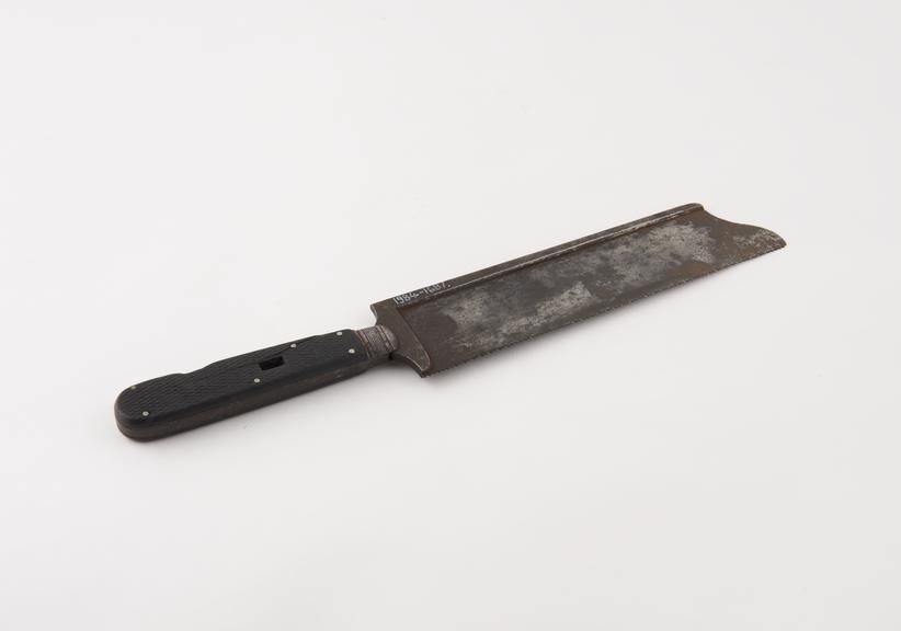 Saw, possibly for side bones, steel