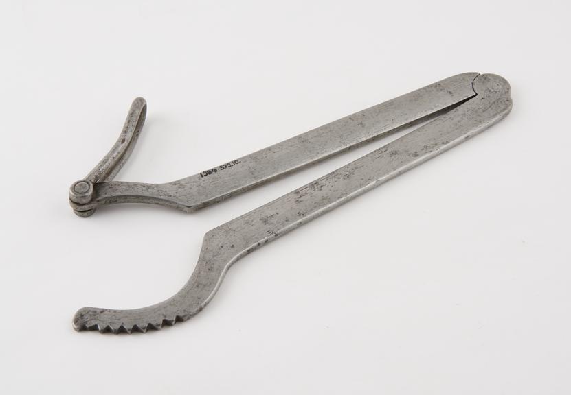 Castrating clamp, steel, probably English, 1870-1910