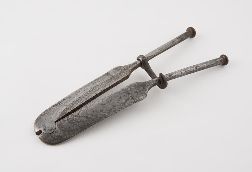 Castrating clamp, iron, by Arnold and Sons of London, 1866-1900