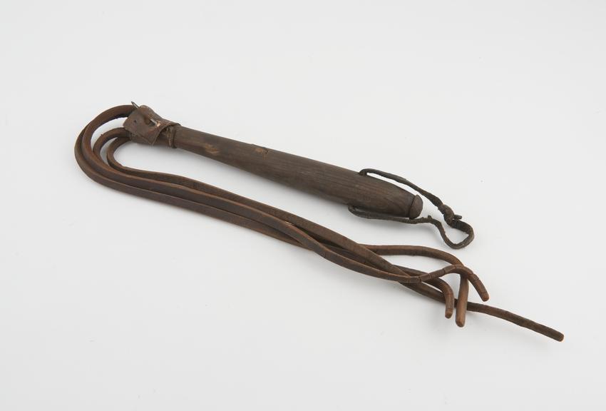 Whip, with four leather thongs and wooden handle