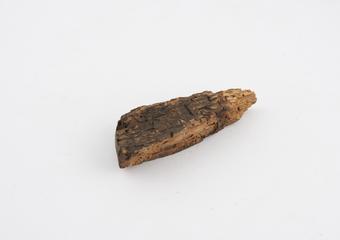 fragment