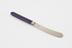 Butter knife with purple Parkesine handle; steel blades