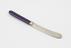 Butter knife with purple Parkesine handle; steel blades