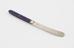 Butter knife with purple Parkesine handle; steel blades