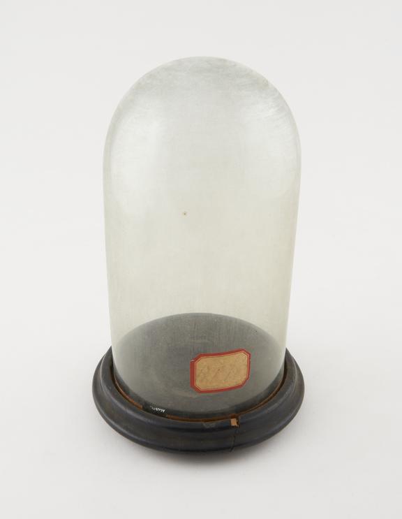 Stand with glass shade, English, 1850-1920