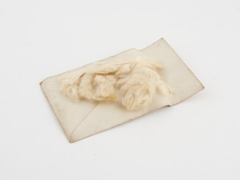 Paper envelope containing small quantity of silk floss tinder