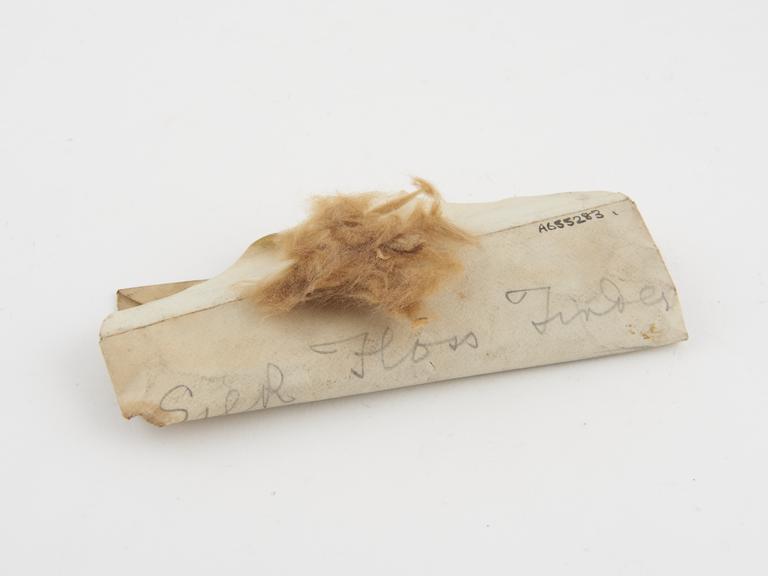 Envelope containing pieces of silk floss tinder