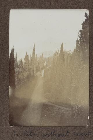 Ai-Petri without Snow