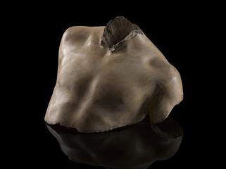 Plaster bust of boy, head missing